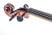 gasparini-primo-13-inch-snail.jpg