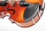 gasparini-primo-15-inch-chin-rest.jpg