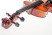 gasparini-primo-15-inch-snail.jpg