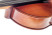 gasparini-primo-15.5-inch-fretboard.jpg