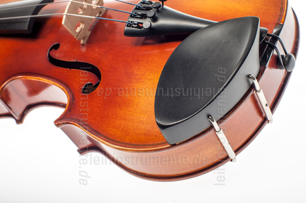 to article description / price 3/4 (15") Violaset  - GASPARINI MODEL PRIMO - all solid