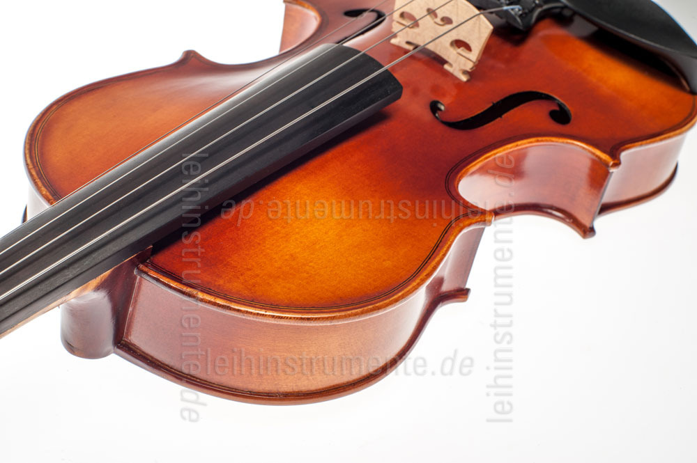 to article description / price 3/4 (15") Violaset  - GASPARINI MODEL PRIMO - all solid