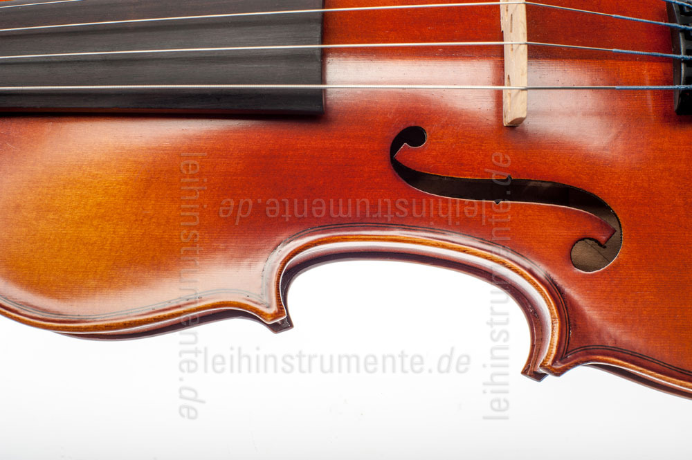 to article description / price 3/4 (15") Violaset  - GASPARINI MODEL PRIMO - all solid