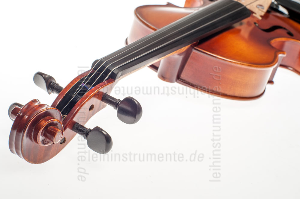 to article description / price 3/4 (15") Violaset  - GASPARINI MODEL PRIMO - all solid