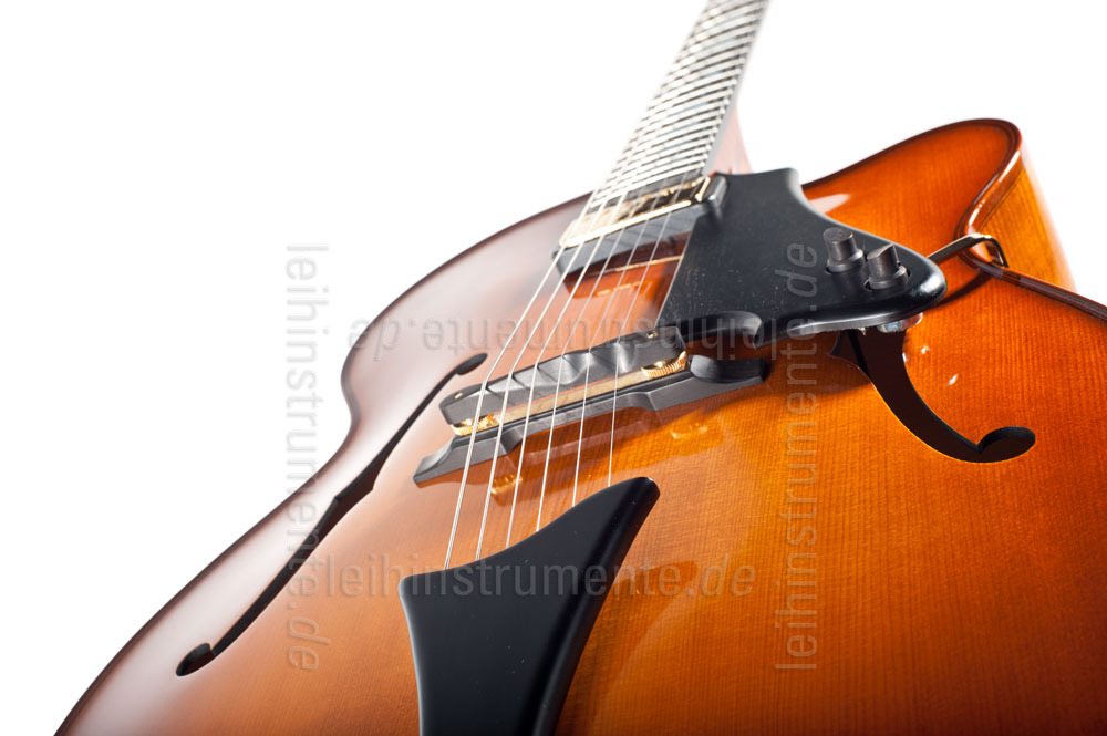 to article description / price Full-Resonance Archtop Jazz Guitar HOFNER CHANCELLOR HC-V-0 Gold Label + hardscase - Schellack - all solid