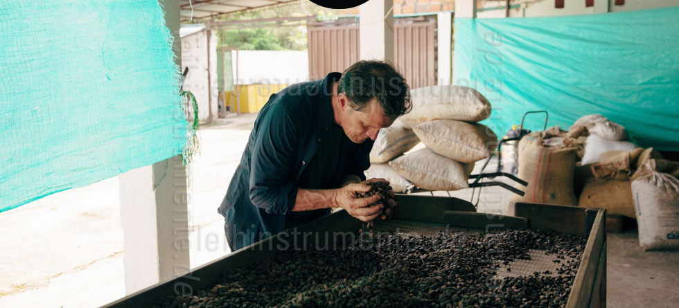 to article description / price Willie`s Cacao 100% - VENEZUELAN BLACK - RIO CARIBE - 180g block for grating
