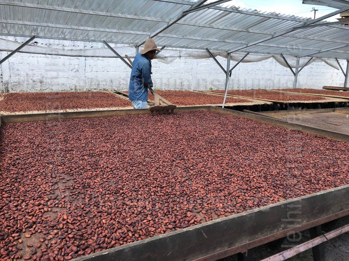 to article description / price Willie`s Cacao 100% - VENEZUELAN BLACK - LAS TRINCHERAS - 180g block for grating