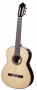 det-juan-antonio-marin-rosewood-spruce.jpg