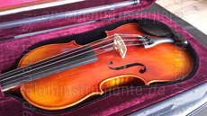 Large view 4/4 Left-Handed Violinset - GASPARINI MODEL ORCHESTRA - all solid - shoulder pad
