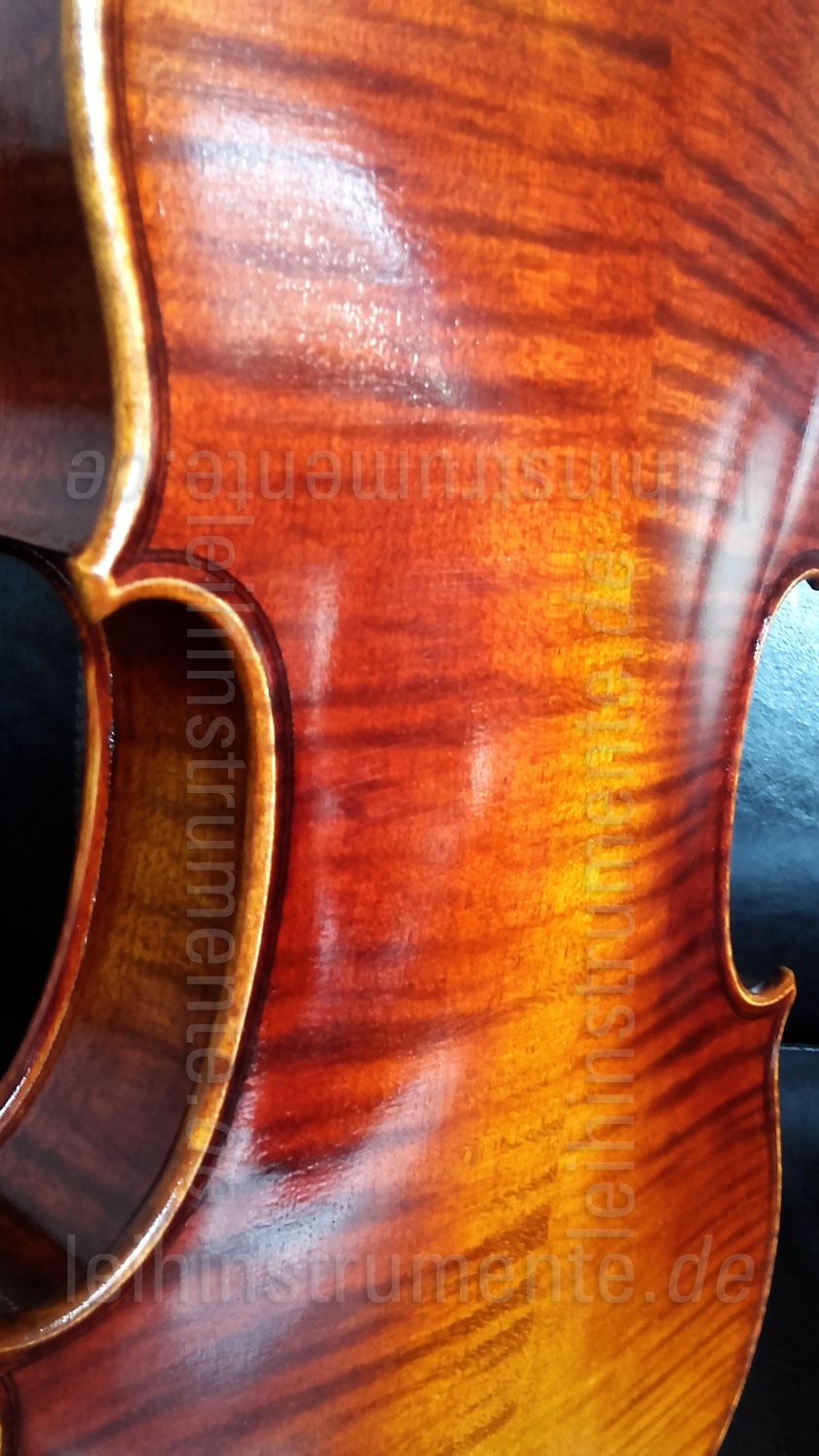 to article description / price 4/4 Left-Handed Violinset - GASPARINI MODEL ORCHESTRA - all solid - shoulder pad