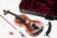 3/4 Violinset GASPARINI MODEL ADVANCED - all solid - shoulder rest