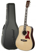 Acoustic Guitar TANGLEWOOD TW1000/H SR - Heritage Series - Dreadnought - all solid + Hardcase