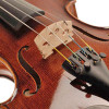 Violas