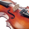 String Instruments
